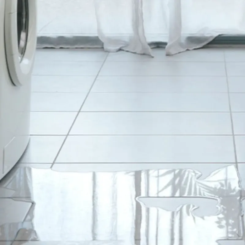 Appliance Leak Cleanup in Gloucester County, VA