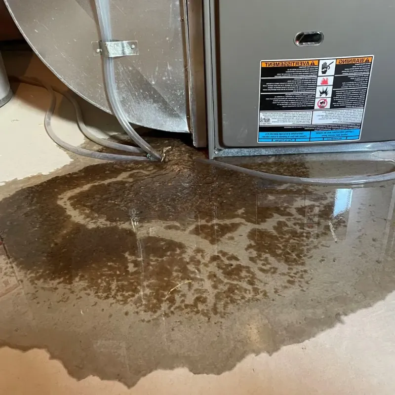 Pipe Burst and Leak Restoration in Gloucester County, VA